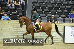 24BUCK_09612 proof