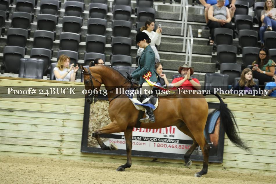 Proof 24BUCK_09613