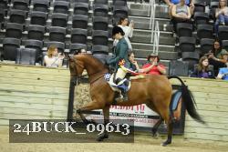 24BUCK_09613 proof