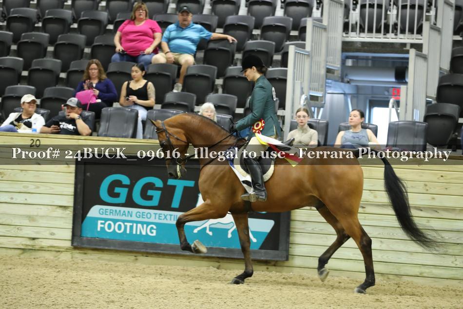 Proof 24BUCK_09616