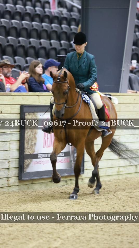 Proof 24BUCK_09617