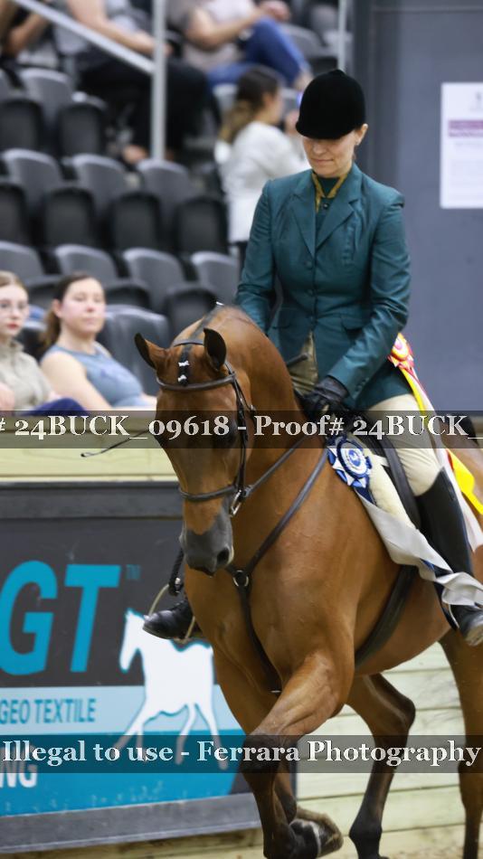 Proof 24BUCK_09618