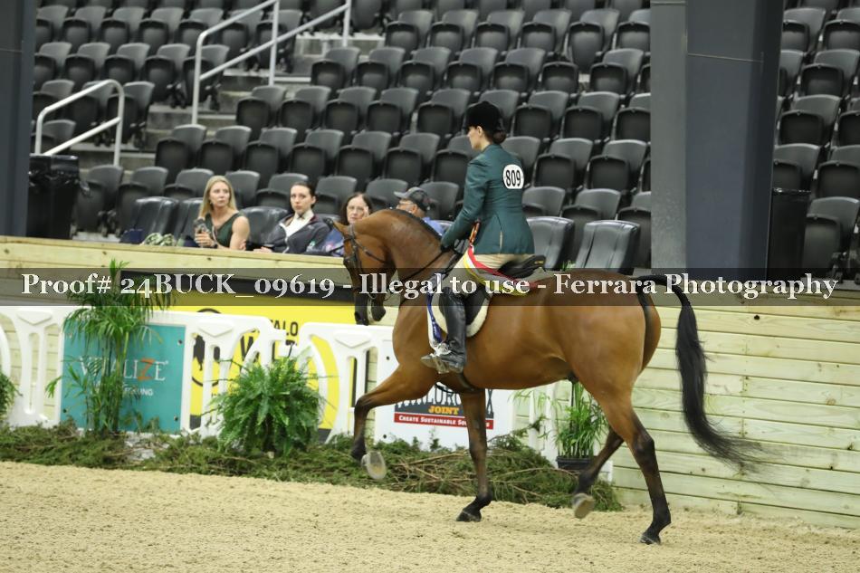Proof 24BUCK_09619