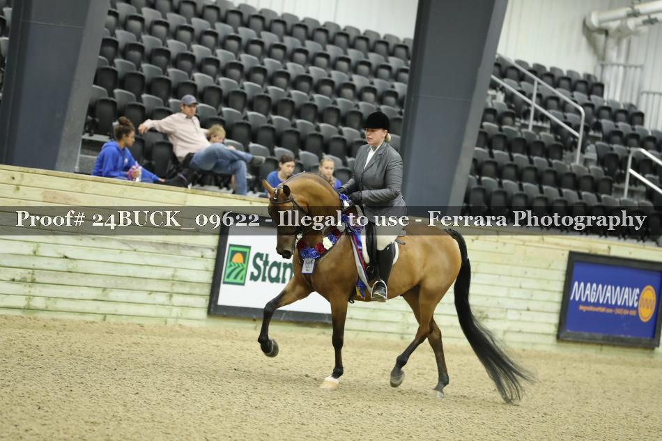 Proof 24BUCK_09622