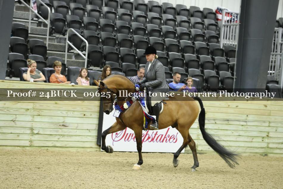 Proof 24BUCK_09625