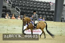 24BUCK_09625 proof