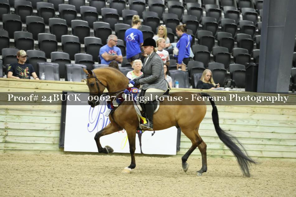 Proof 24BUCK_09627