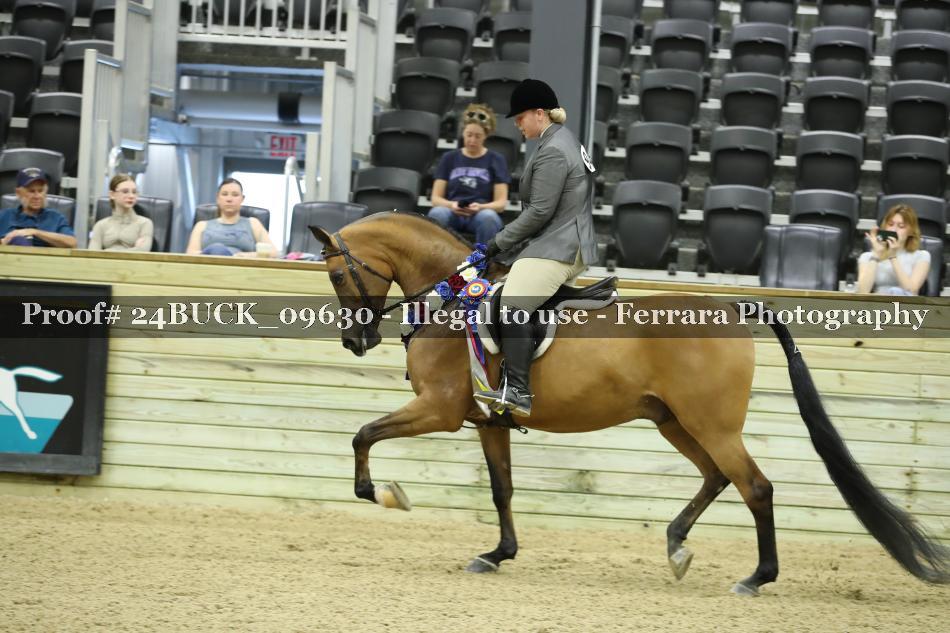 Proof 24BUCK_09630