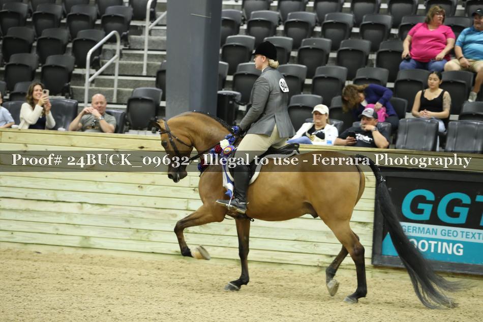 Proof 24BUCK_09632