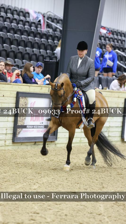 Proof 24BUCK_09633