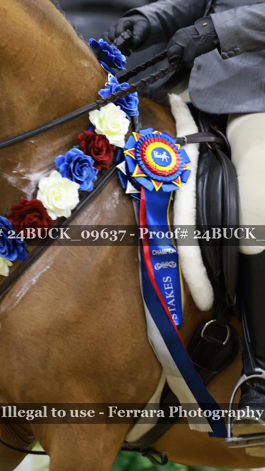 Proof 24BUCK_09637