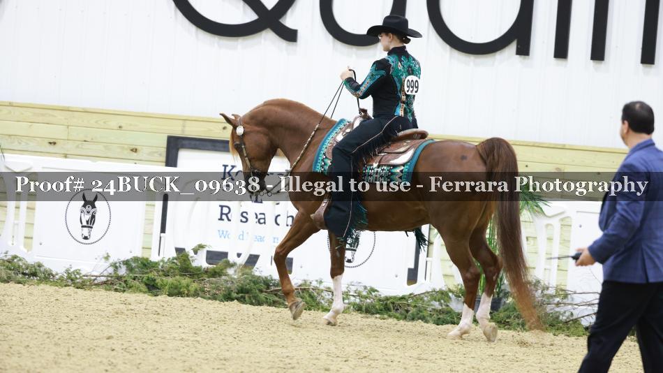 Proof 24BUCK_09638