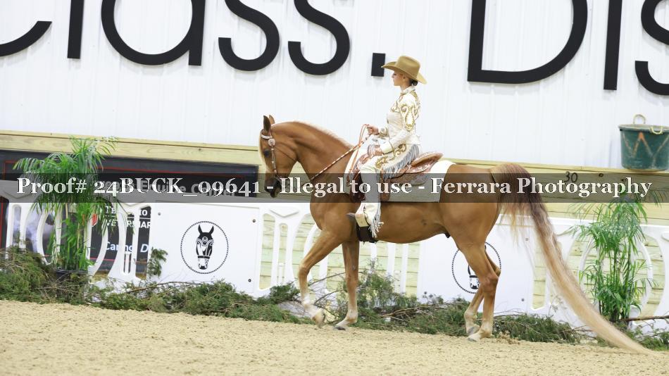 Proof 24BUCK_09641