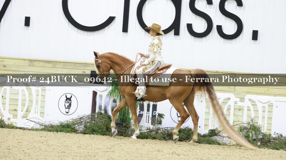 Proof 24BUCK_09642