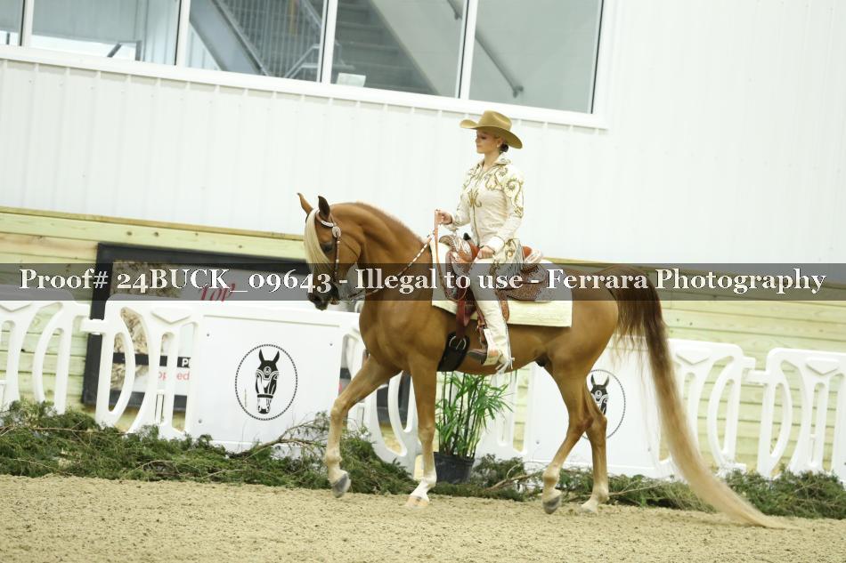 Proof 24BUCK_09643