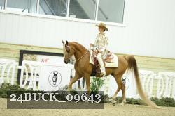 24BUCK_09643 proof