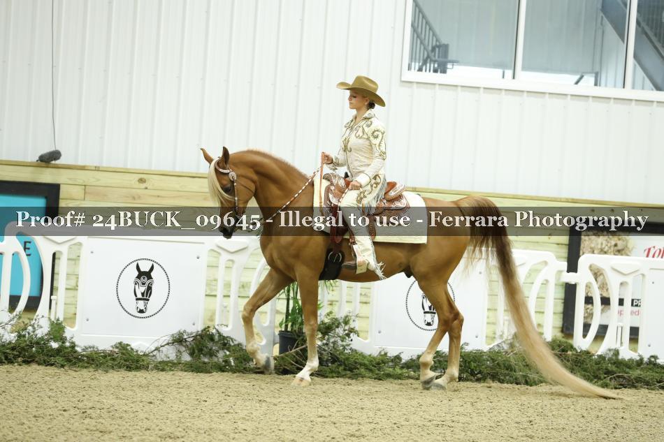 Proof 24BUCK_09645