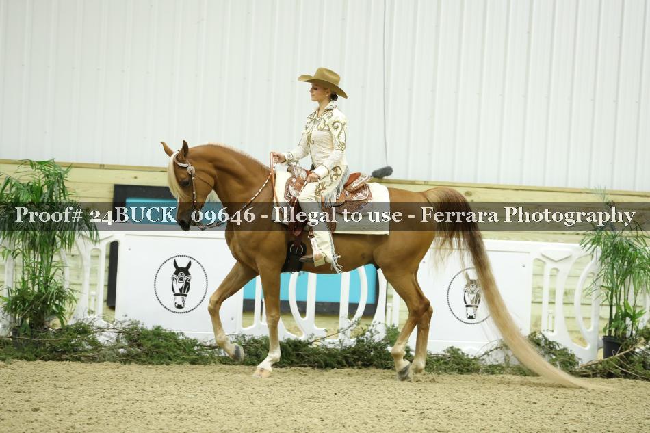 Proof 24BUCK_09646