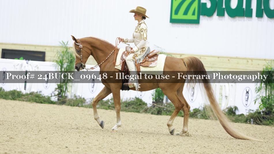 Proof 24BUCK_09648