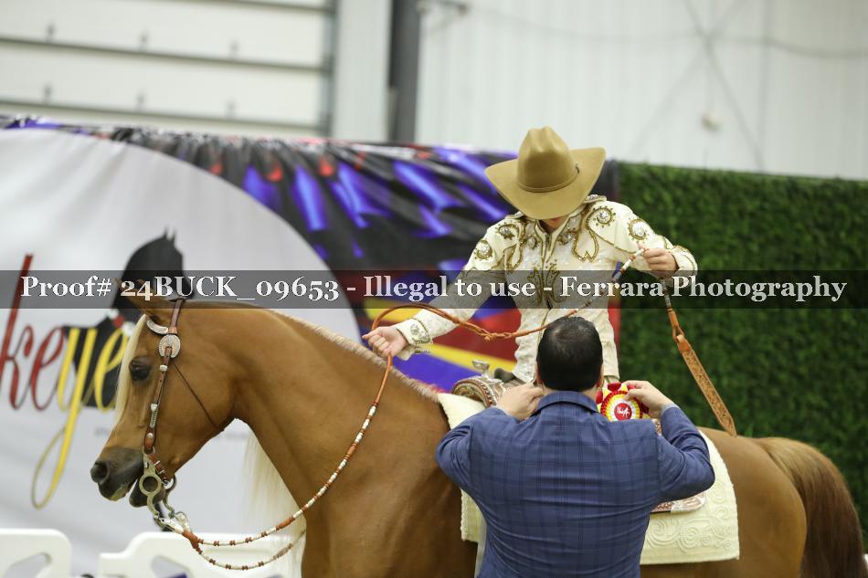 Proof 24BUCK_09653
