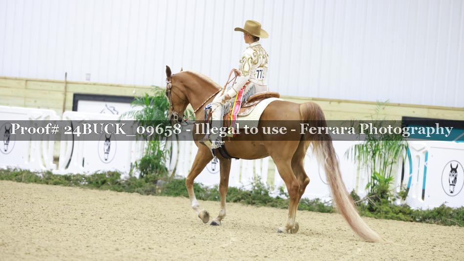 Proof 24BUCK_09658