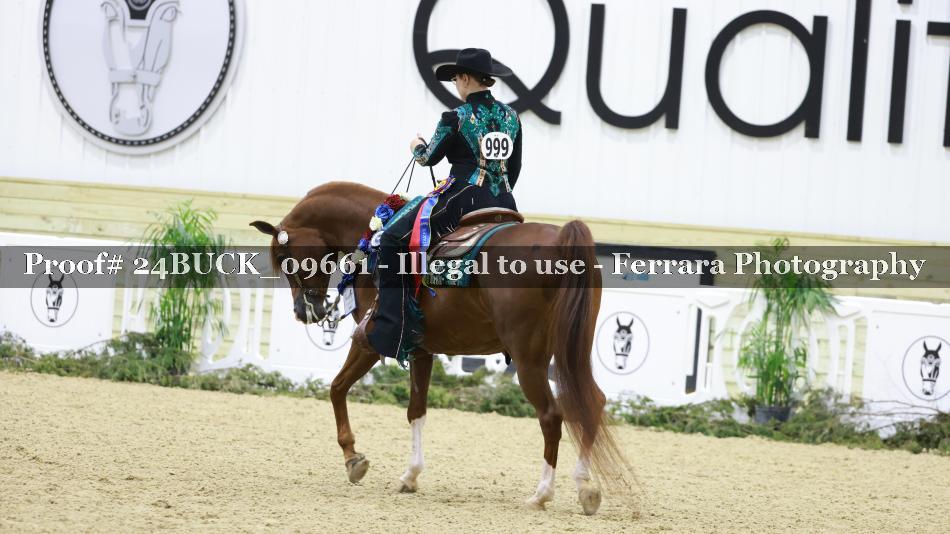 Proof 24BUCK_09661