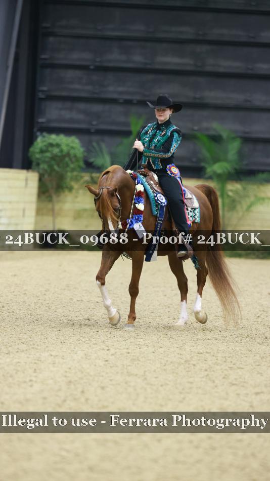 Proof 24BUCK_09688