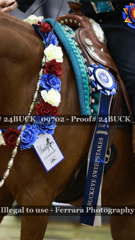 Proof 24BUCK_09702