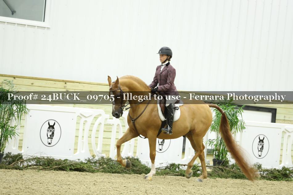 Proof 24BUCK_09705