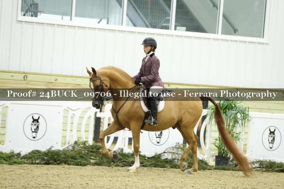 Proof 24BUCK_09706