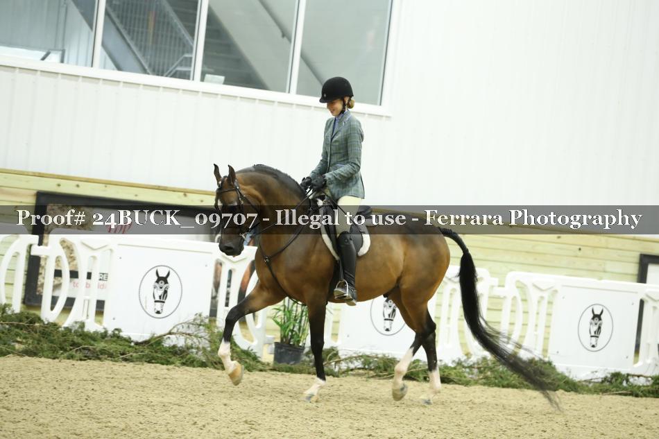 Proof 24BUCK_09707