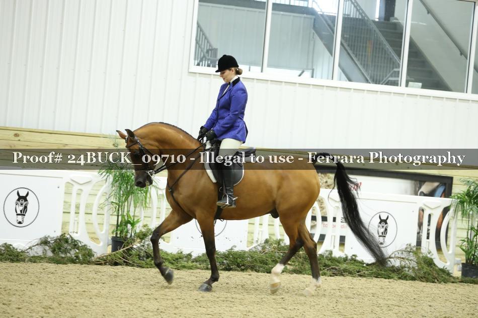 Proof 24BUCK_09710