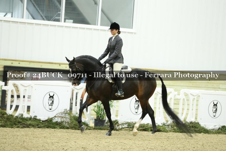 Proof 24BUCK_09711