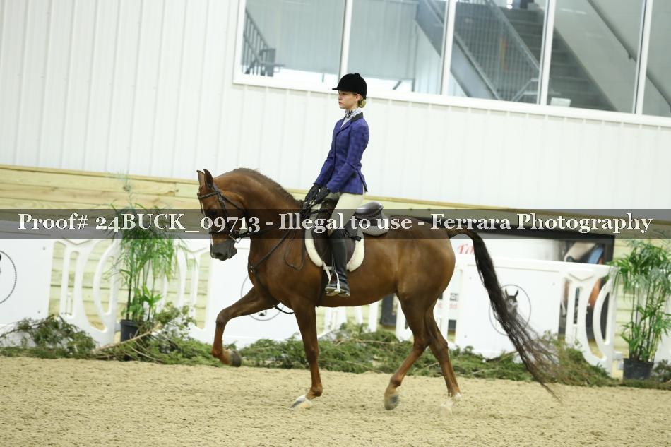Proof 24BUCK_09713