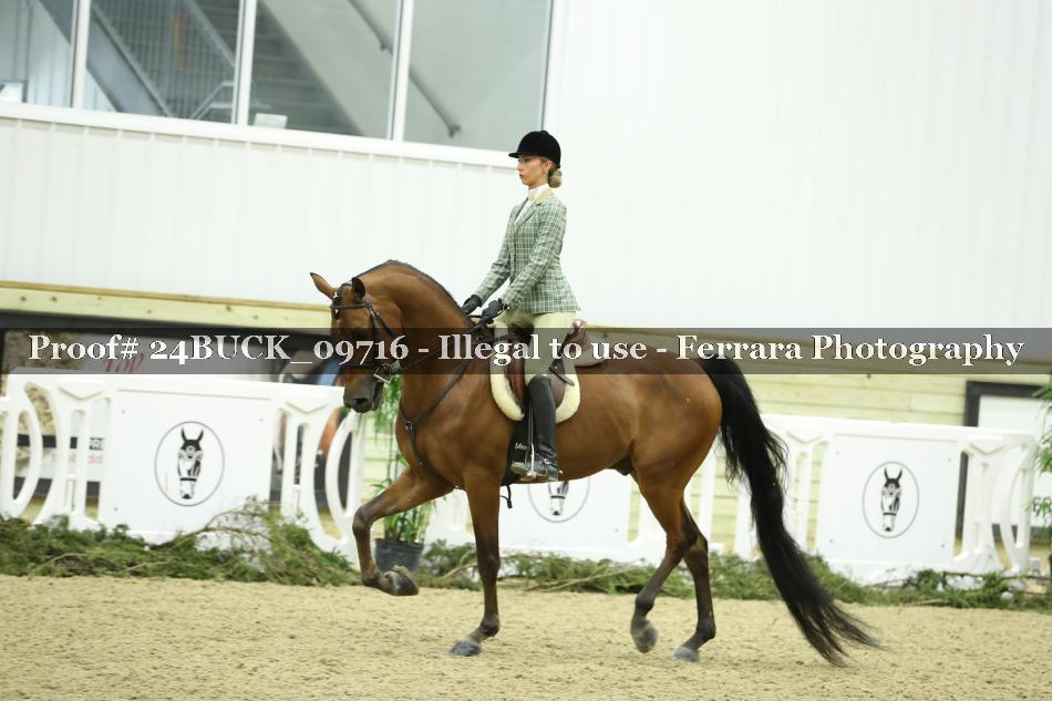 Proof 24BUCK_09716