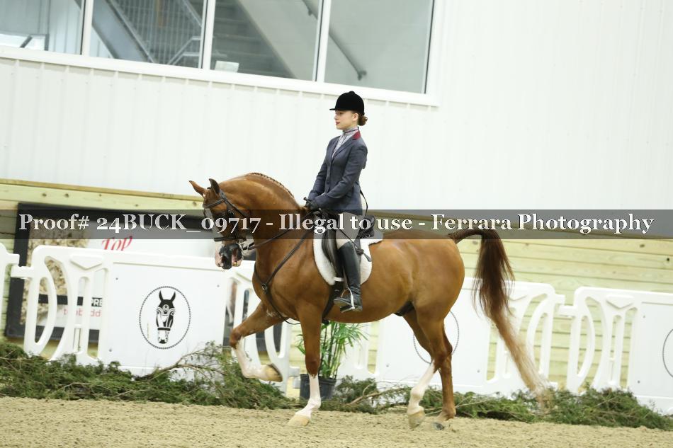 Proof 24BUCK_09717