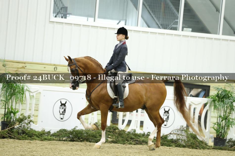 Proof 24BUCK_09718