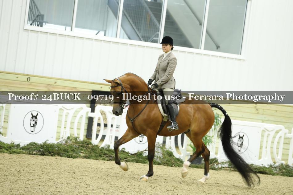 Proof 24BUCK_09719
