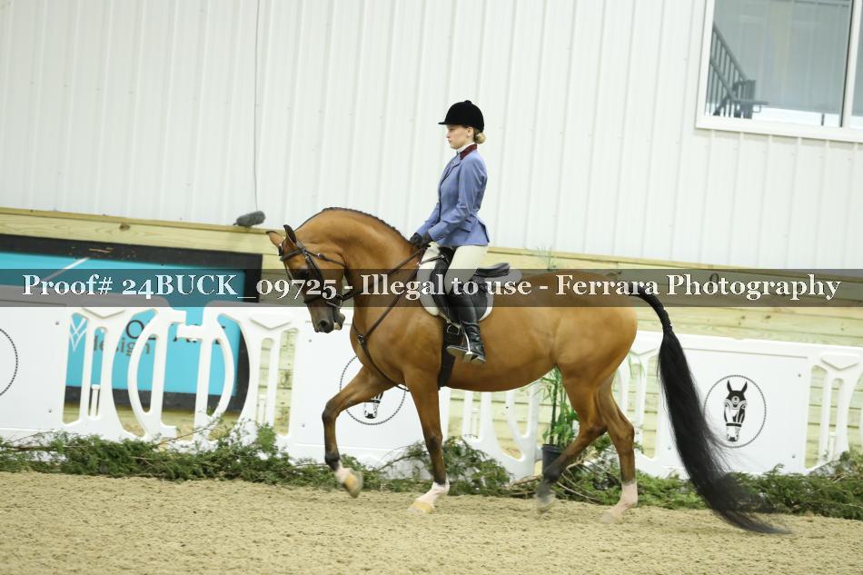 Proof 24BUCK_09725