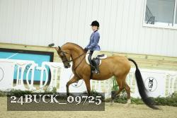 24BUCK_09725 proof