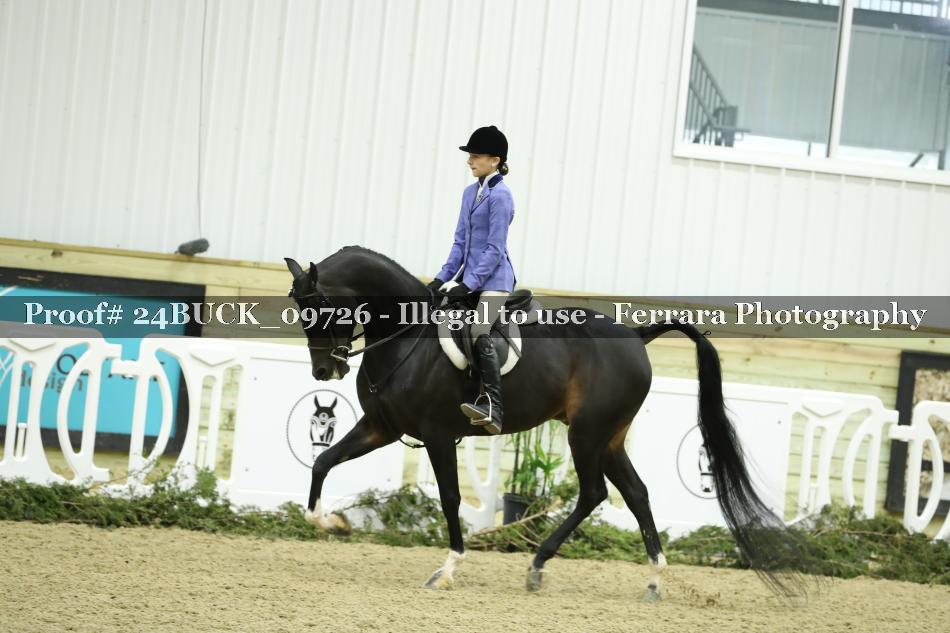Proof 24BUCK_09726