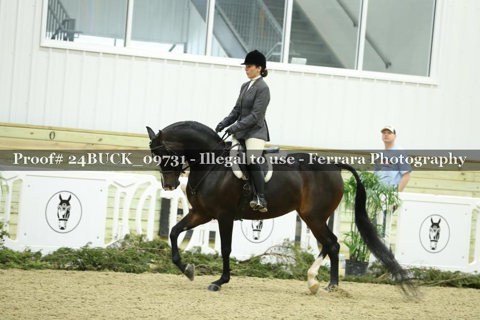 Proof 24BUCK_09731