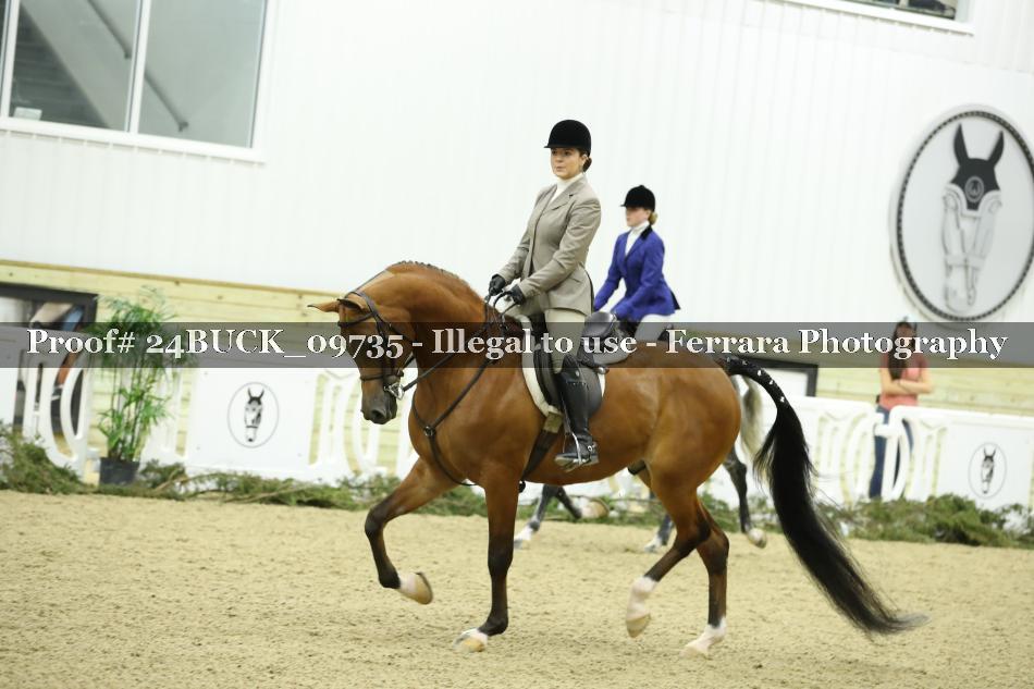 Proof 24BUCK_09735