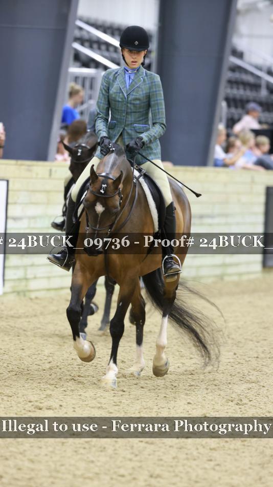Proof 24BUCK_09736