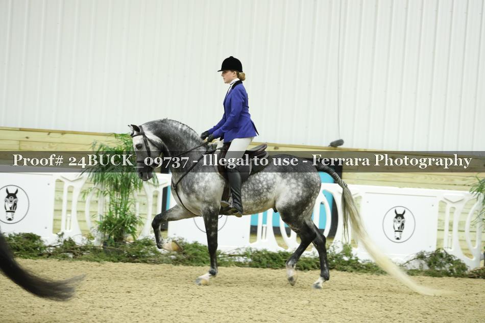 Proof 24BUCK_09737