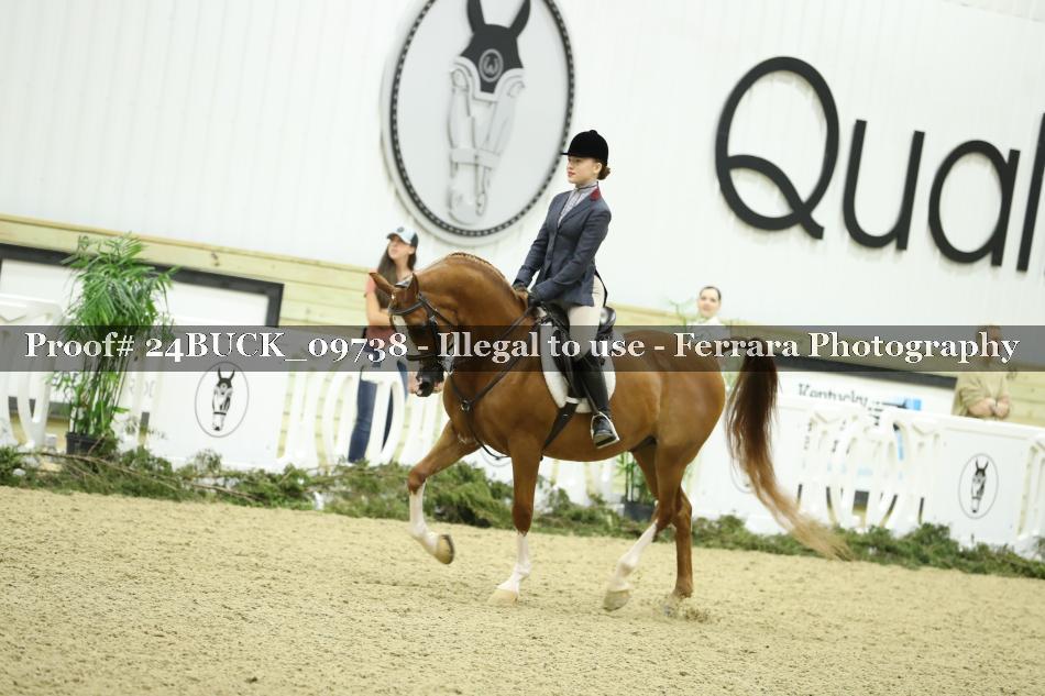 Proof 24BUCK_09738
