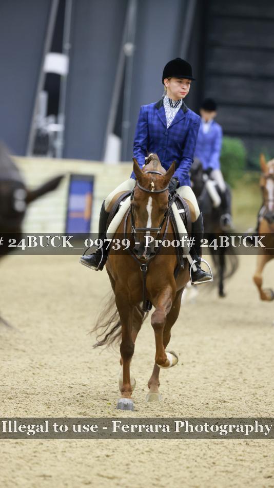 Proof 24BUCK_09739