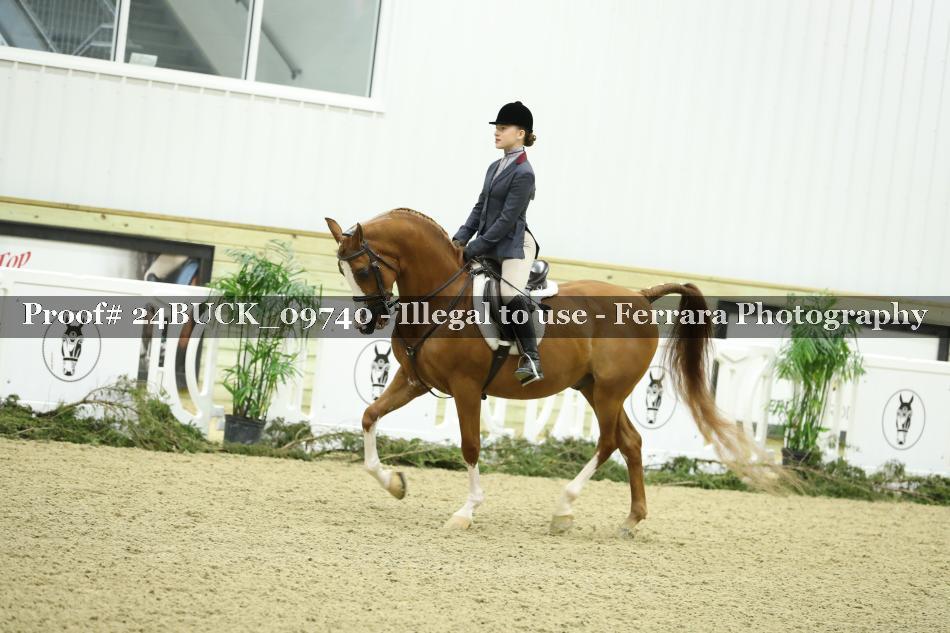 Proof 24BUCK_09740