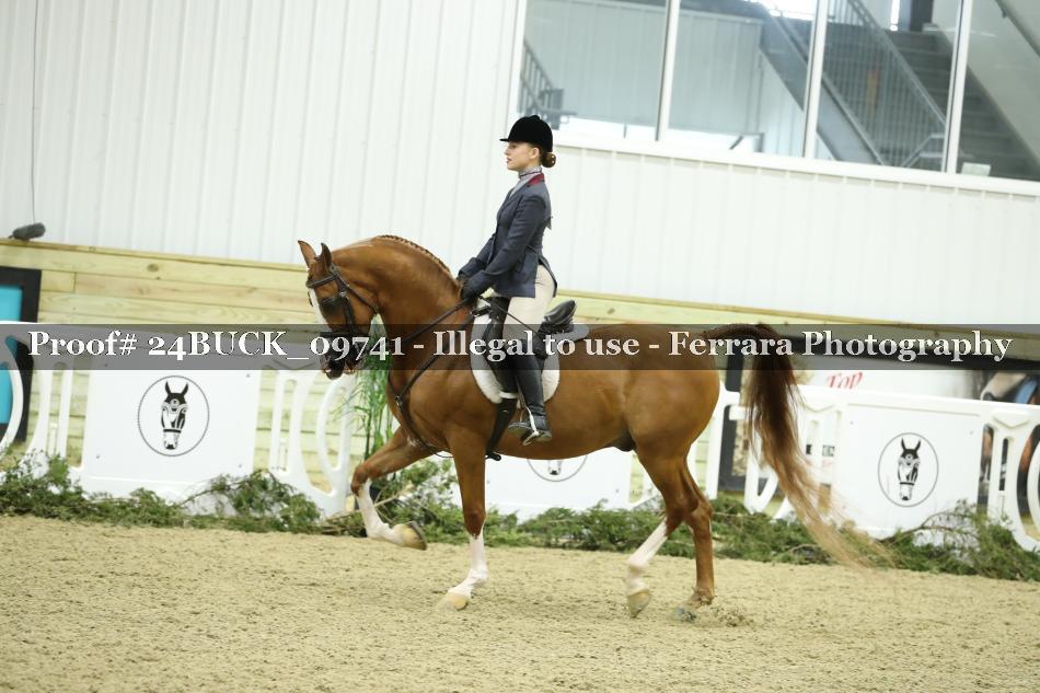 Proof 24BUCK_09741