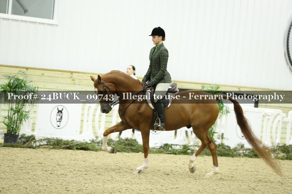 Proof 24BUCK_09743